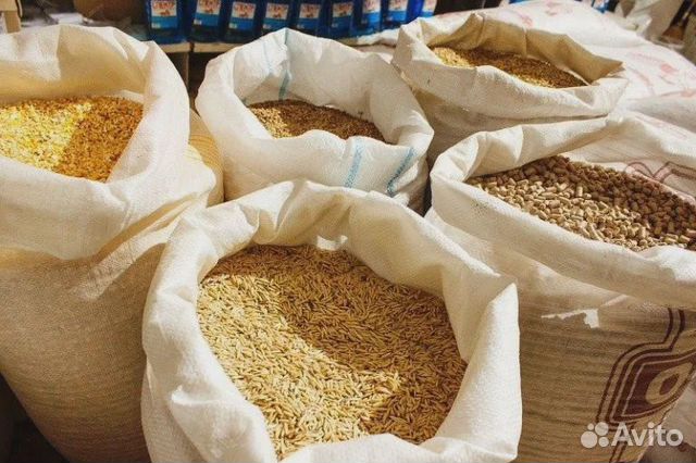 Пшеница в мешках купить на Зозу.ру - фотография № 1