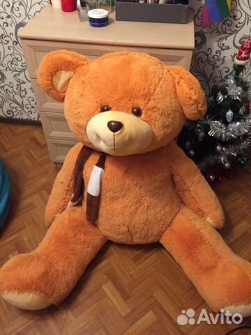 Отдам медведя в хорошие руки Отдам медведя в хорошие руки