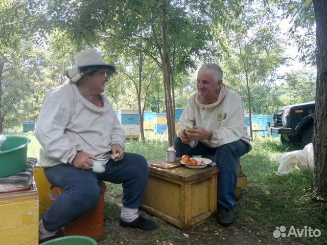 Мёд разнотравье доставка бесплатно