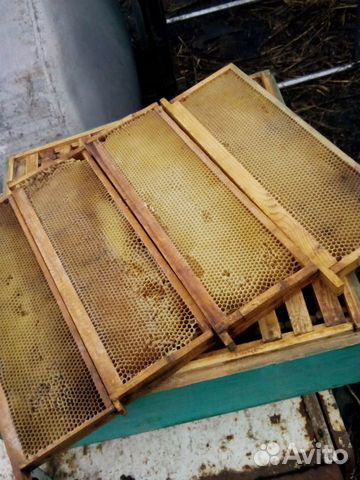 Сушь 145 мм, рамки для пчеловодства купить на Зозу.ру - фотография № 1