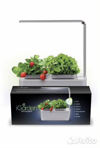 IGarden(умный сад) IGarden(умный сад)