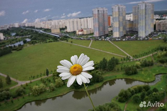 Студия, 12 м², 1/9 эт. Студия, 12 м², 1/9 эт.