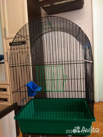 Клетки Клетки