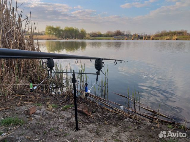 Карповое удилище daiwa black widow 13 Карповое удилище daiwa black widow 13