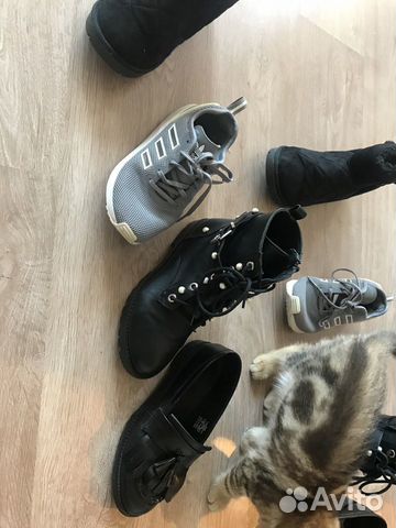 Обувь для девочки zara, adidas. Отдам Обувь для девочки zara, adidas. Отдам