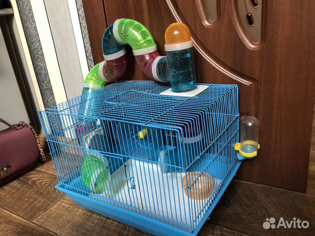 Клетка для грызунов Клетка для грызунов