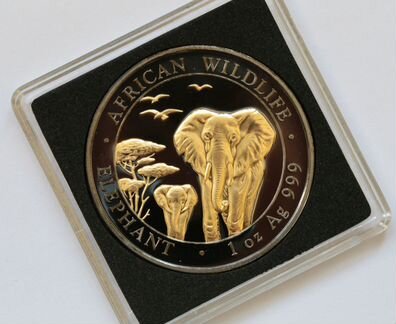 Серебряная монета Сомалийский слон Энигма 2015 год