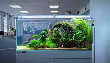 Обслуживание аквариумов