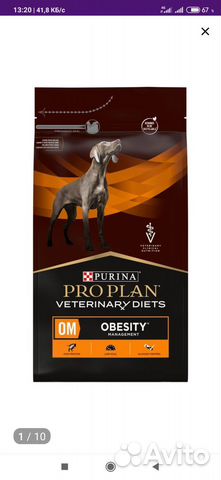 Корм для собак