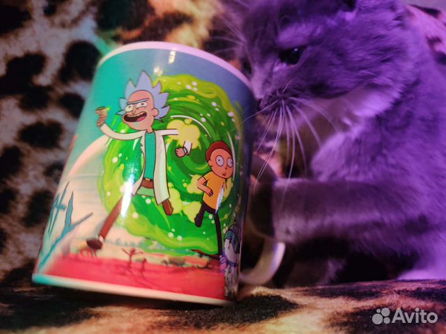 Кружка Рик и Морти