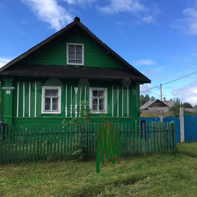 Авито хвойная