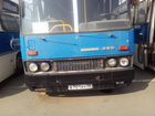 Междугородний / Пригородный автобус Ikarus 256, 2001 объявление продам