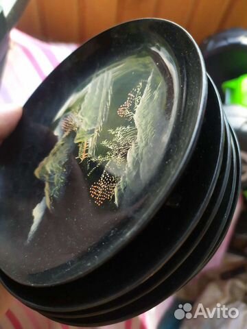 Сувенирный чайный набор