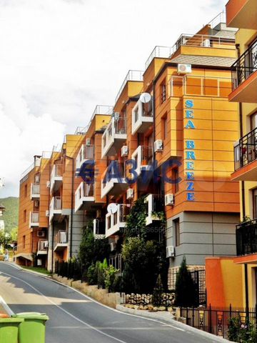 Авито болгария купить квартиру в норвегии недорого вторичное жилье