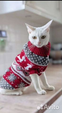 Одежда для собак и кошек