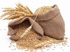 Зерно пшеница яровая объявление продам