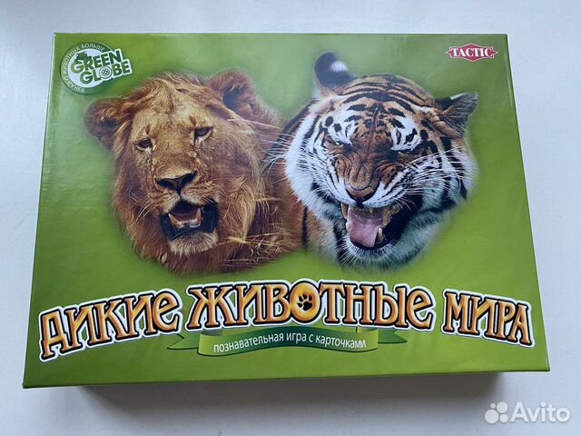 Познавательная игра