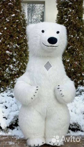 Поздравление Белый бурый мишка панда, ростовые