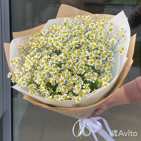 Ромашки. Букеты.Цветы с Доставкой
