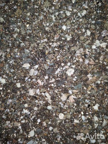 Грунт(субстрат, почва) для кактусов и суккулентов