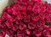 Букет из 101 розы с бесплатной доставкой