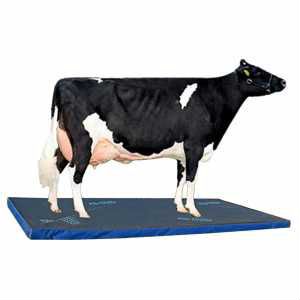 Дезинфицирующий мат для крс