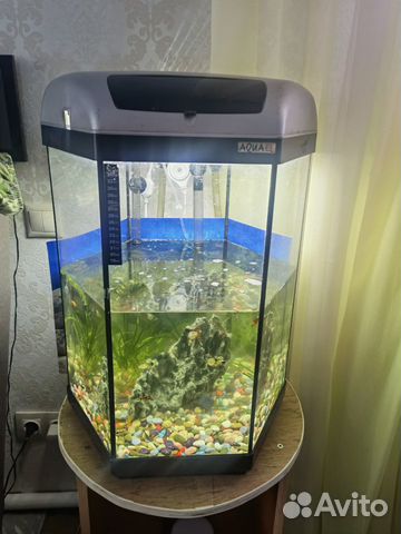 Продам аквариум Aquael на 60 литров