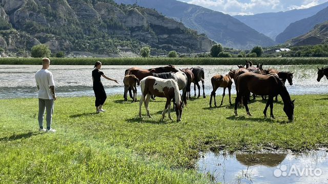 Тур-экскурсии по Дагестану