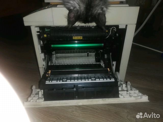 Принтер мфу xerox м15i