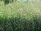 Покос травы триммером объявление продам