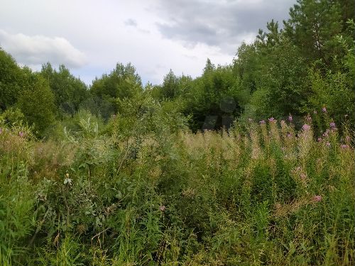 Участок 12,2 сот. (СНТ, ДНП)