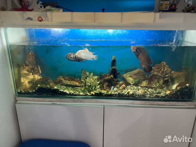 Аквариум