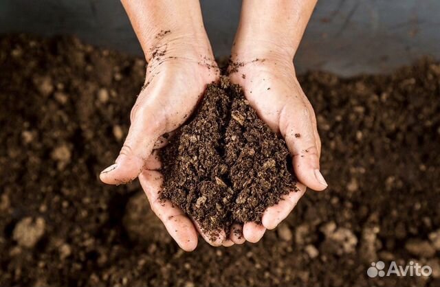 Навоз, перегной, компост, для удобрения, доставка