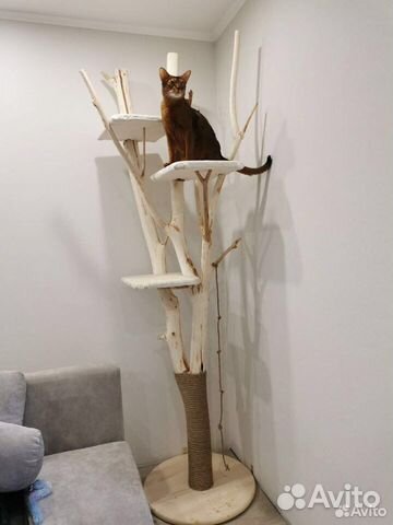 Дерево для кота, когтеточка, дом на дереве,котодом