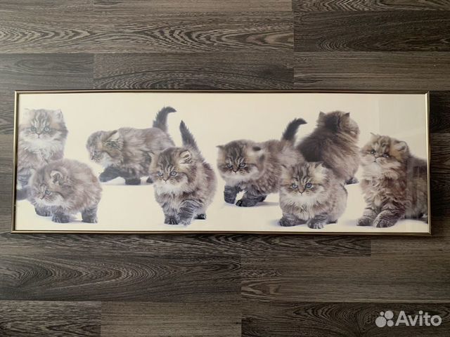 Картина 34/96 см