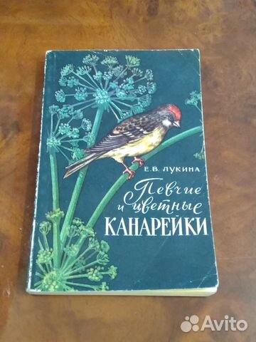 Певчие и цветные канарейки