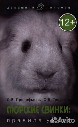 Морские свинки