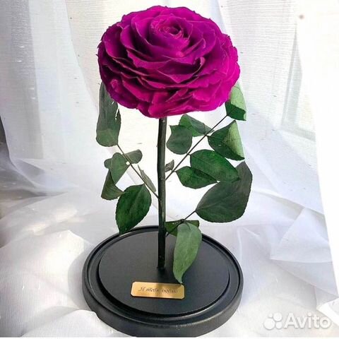 Неувядающая роза в колбе