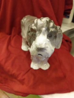 Фарфор.Собака.Грифон