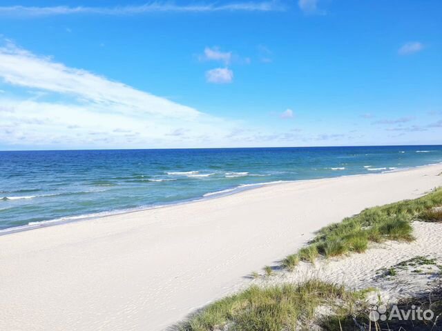 Экскурсии Куршская Коса; Обзорная по Калининграду