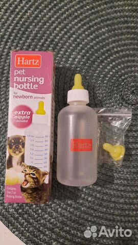 Бутылочка для кормления котят