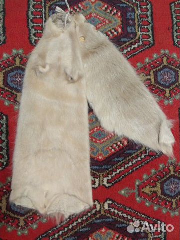 Шкурка нутрии