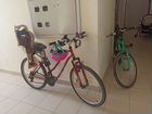 Прокат велосипедов для всей семьи