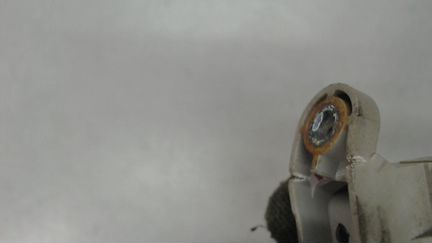 Датчик, Положения двери Volvo FH 2012, 2013