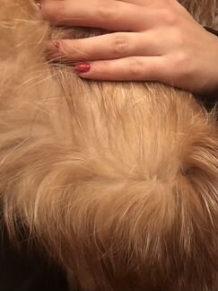 Меховой жилет