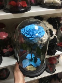 Роза в колбе