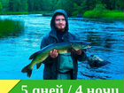 Рыбалка на секретных реках Северной Карелии объявление продам