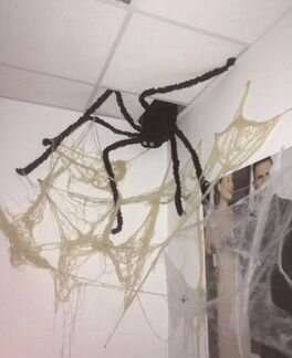 Паук для праздника/вечеринки (продажа, аренда)