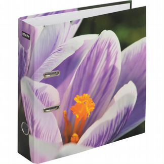 Папка-регистратор Attache Selection Crocus 75 мм
