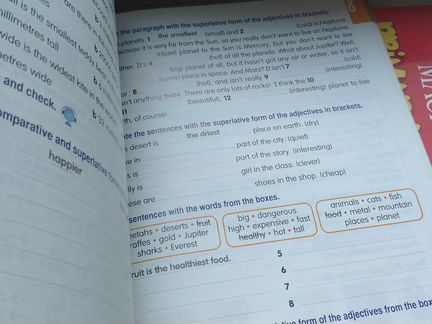 Primary grammar 3